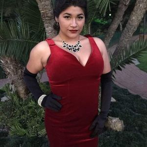 Vintage Inspired Red Velvet Gown